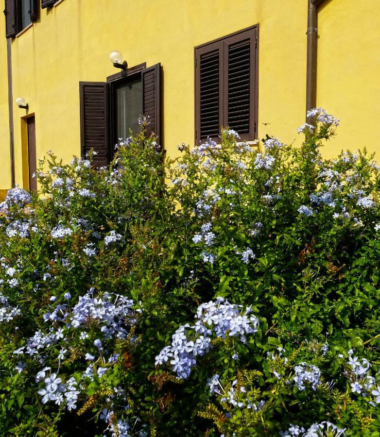 Vistazzurra B&B 安科纳 外观 照片
