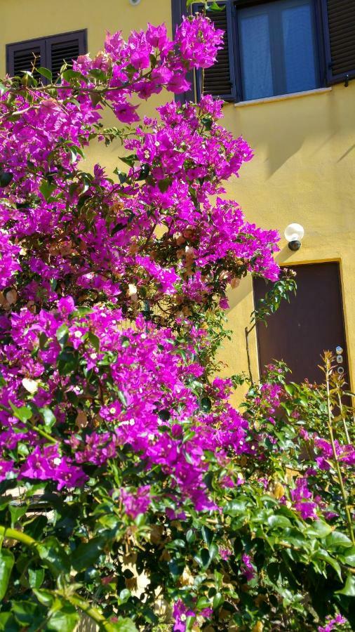 Vistazzurra B&B 安科纳 外观 照片